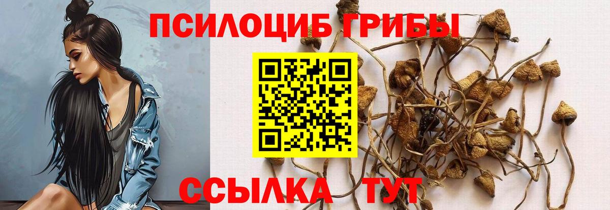 Псилоцибиновые грибы прущие грибы Ярцево