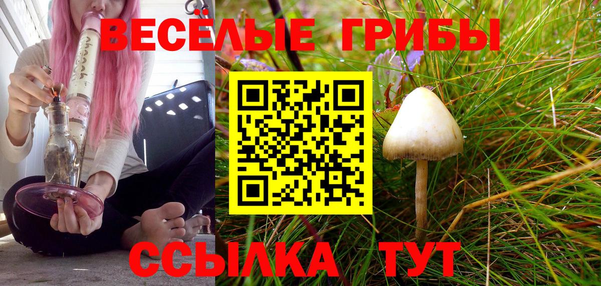 Галлюциногенные грибы мухоморы  Галлюциногенные грибы прущие грибы  Вход с VPN  Ярцево 
